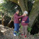 화양연화농장 이미지