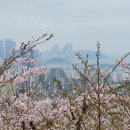 우룡산공원 이미지