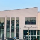 스타애견 이미지