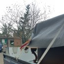 당리동-2 이미지