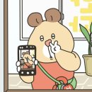 둔산중로32번길 이미지