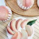 감곡농장 | 햇사레 복숭아 맛있는 여름과일 딱딱 햇사레감곡복숭아