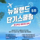 비전법무사
