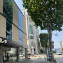 남치과의원 | [강동구/둔촌동] &#39;코랄치과의원&#39; 치아미백 후기 (가격,비용)