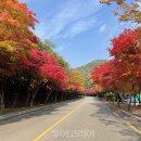 (주)팔공산업 이미지