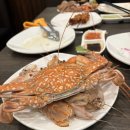 Poseidon | 🦀 하노이 Poseidon 해산물 뷔페 후기 게 수율 90% 이상! 한국에서 먹던 뷔페랑은 차원이 다르다!