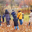 국립회문산자연휴양림 이미지