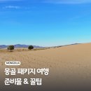 몽골 패키지 여행 준비물 환전 꿀팁 3박 4일 후기