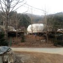 파인포레스트