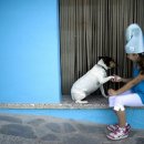 지구촌농장 이미지