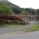 사랑방민박 이미지