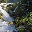 6.크로아티아 플리트비체 국립공원의 대부분의 물은 Bijela와 Crna하얀과 검다는 뜻을 갖는다. 이미지