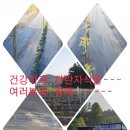 큐리농장 이미지