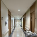 통일동물병원 | 대전 서울여성병원 입원실(1인실, VIP실) 후기