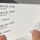 빅트리마켓