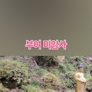 쌀바위맛집 이미지