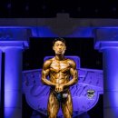 마스터 와이짐 이미지