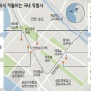 송도유통