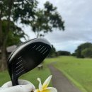 릿지 (Ridge) | [필리핀] 할로우 릿지 골프클럽(Hallow Ridge cc) 라운딩 후기