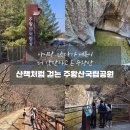 청송나무집 | 경북 청송 아이랑 갔다가 어른이 더 감탄하고 온 주왕산