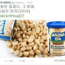 중앙땅콩 이미지