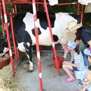 은하목장 이미지