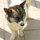 시온농장 이미지