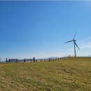 진부목장 이미지