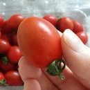 김재근농장 이미지