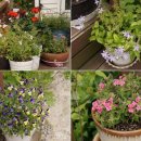 소희네묵집 이미지