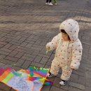 사랑해묘 이미지