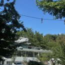 포레스트 오늘숲 군포송정점 | [솔직후기] 부산 송정/해운대 달맞이 카페 '프루터리포레스트' 애견동반 가능한 대형 숲속 카페