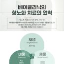 베이피플