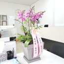 올리브공인중개사사무소 이미지