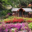 칼봉산자연휴양림 이미지