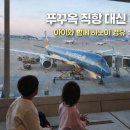 1237 | 인천➡️ 하노이➡️ 푸꾸옥 경유 항공편 리뷰 (베트남항공 VN415·VN1237)