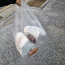 연수서편2길 | 1월부터 바쁘다 바빠 (두쫀쿠, 저당불닭후기, 로이킴대전콘서트, 두드러기)