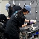 한국직업능력개발학원 이미지