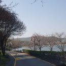 율동주유소 이미지