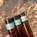 해설이 있는 뮤지컬 인문학 | 인문학과 함께 하는 숲캉스 _ 연마리쌤 아로마숲해설