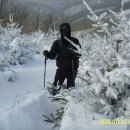 황성약국 이미지