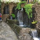 명륜자연유치원 이미지