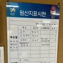 경북 칠곡 석적 오리고기 백숙 맛집 오리대가