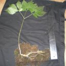 동두천-016 이미지