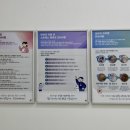 큐티몽 이미지