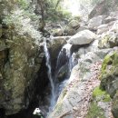 온누리문막약국 이미지