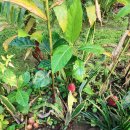 세풍농장 이미지