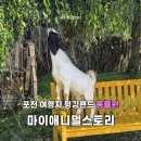 애니멀랜드 | 포천 마이애니멀스토리 평강랜드 입장권 가격 솔직후기 주의사항