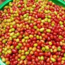 주빈농장 이미지