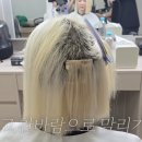 신우미용실 네이버블로그
